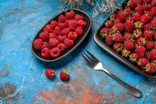 Where to Purchase Freeze-Dried Raspberries