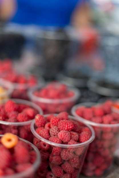 Where to Buy Freeze Dried Raspberries: Your Ultimate Guide