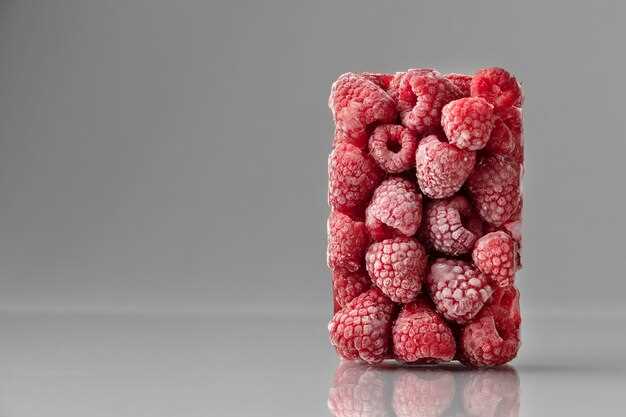 Best Places to Buy Freeze Dried Raspberries Online – Top Picks for Quality and Value