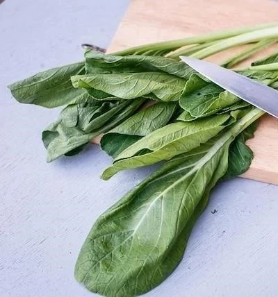 How to Freeze Bok Choy for Maximum Freshness