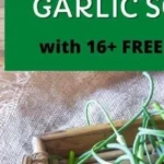 How to freeze garlic scapes